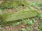 image of grave number 347058